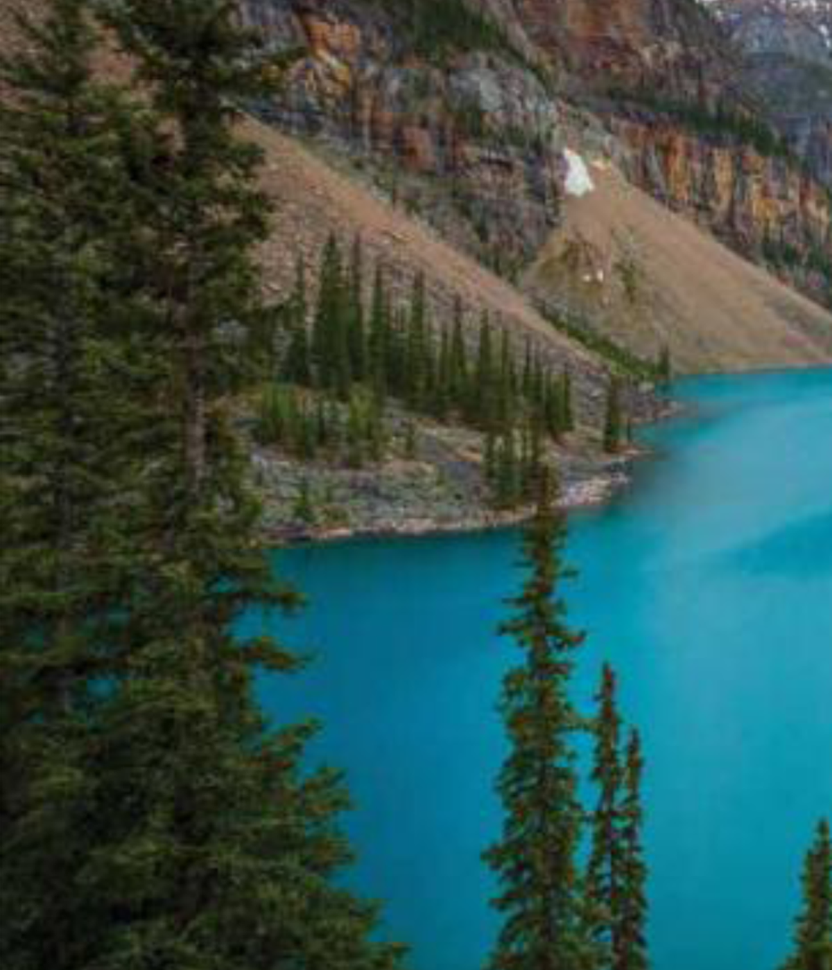 Mountain, trees and a lake