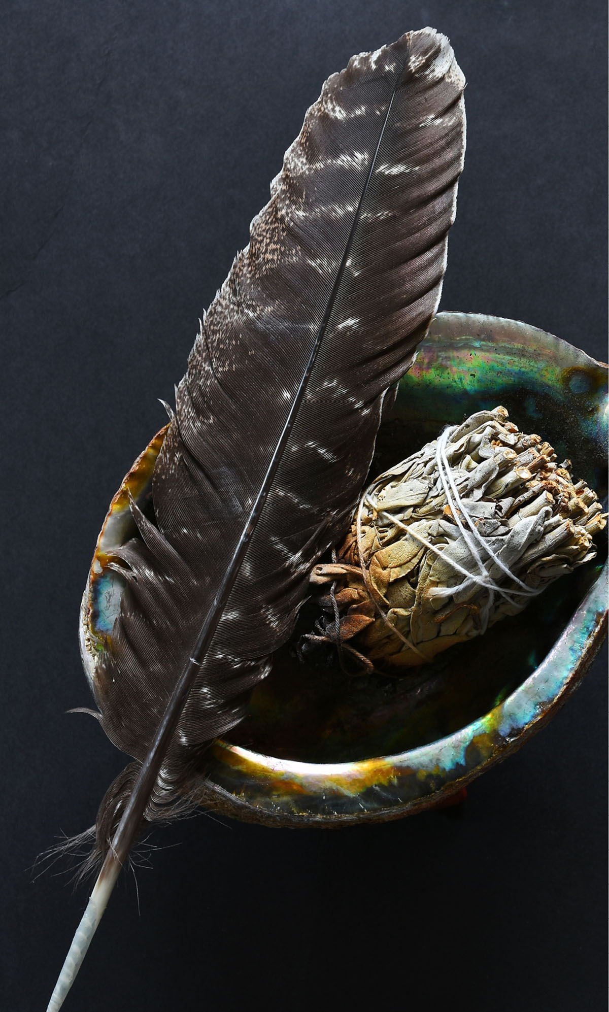 An image of a feather and sage.