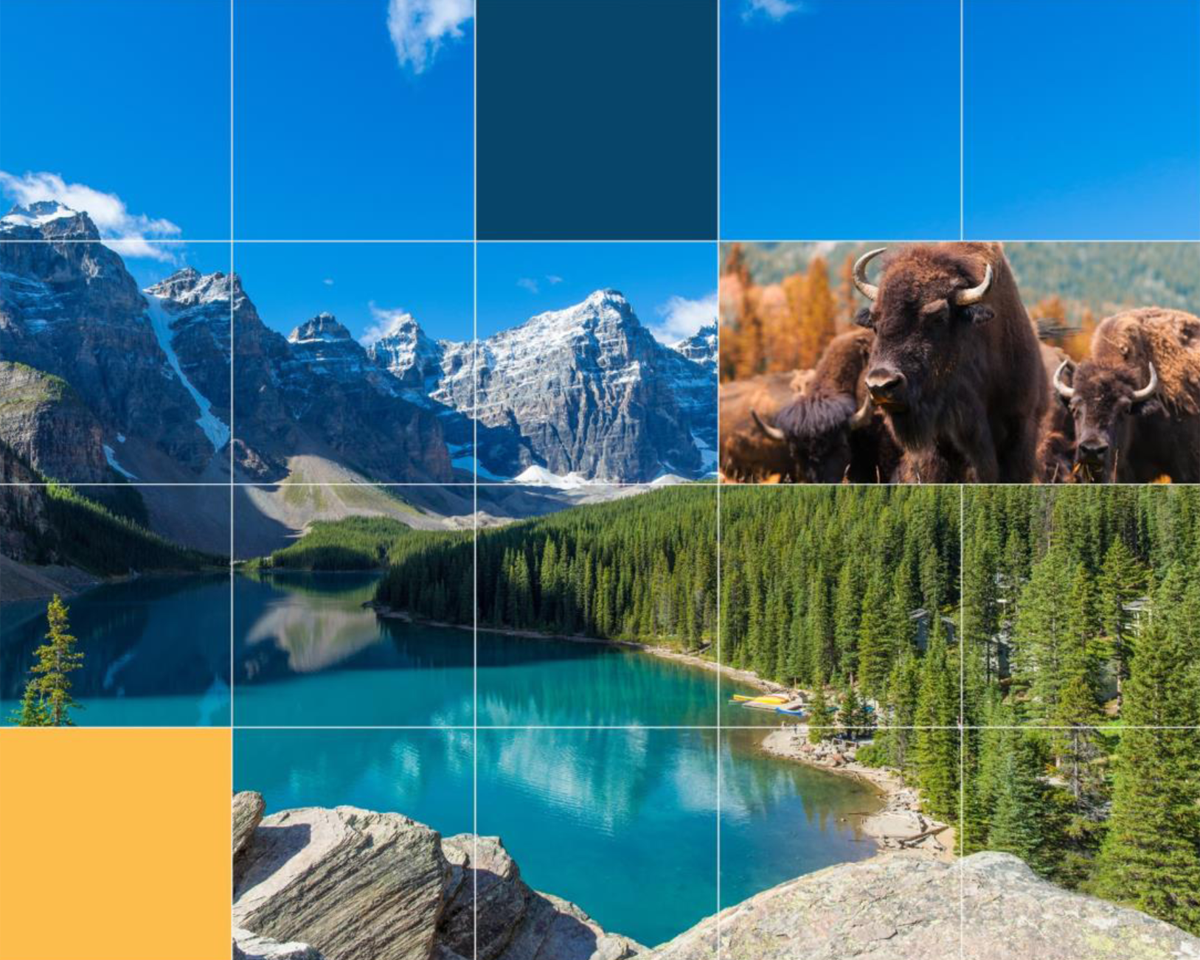 Photo: Grille graphique sur des photos d'un lac, d'une montagne et d'un troupeau de bisons