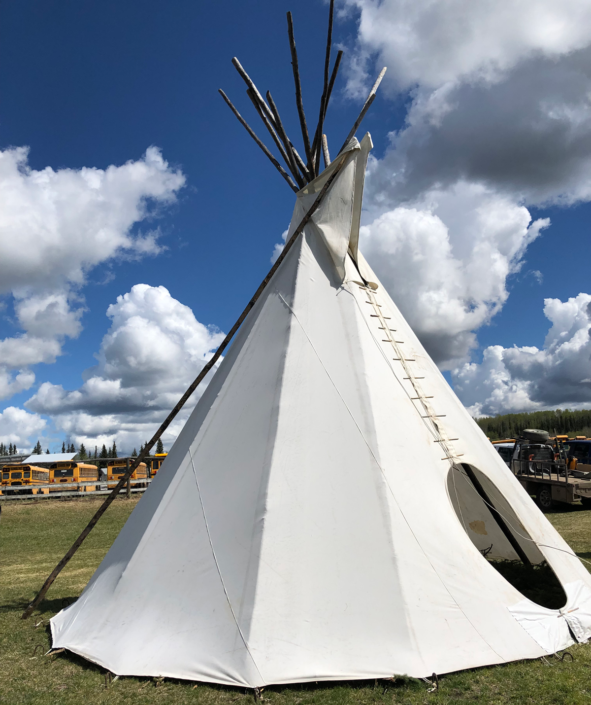 Un tipi rempli de branches de pin fraîchement coupées lors des journées culturelles de la bande.
