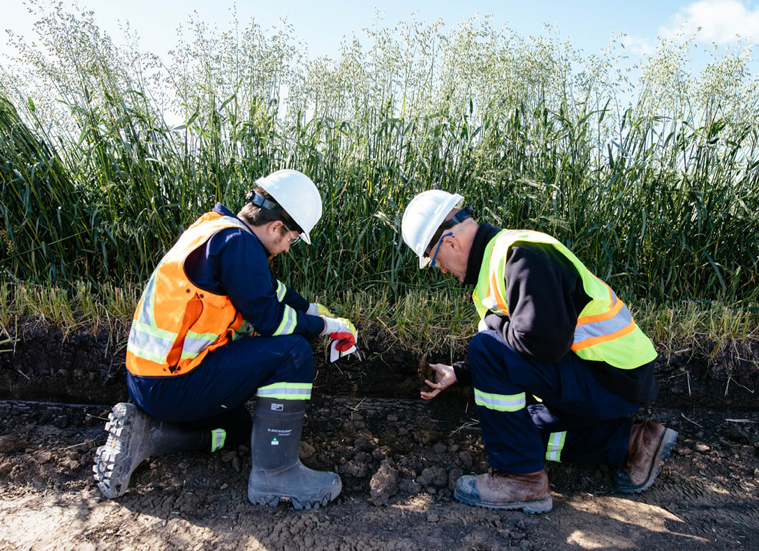 Inspecteurs sur le terrain examinant des terrains