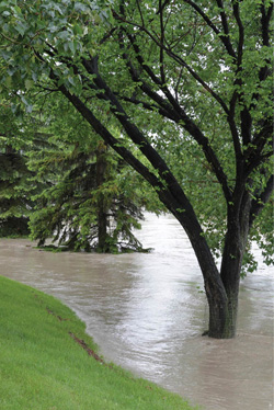 Flood