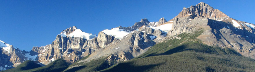 Cimes enneigées