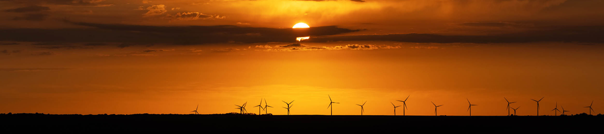 Vue d’horizon d’éoliennes au coucher du soleil