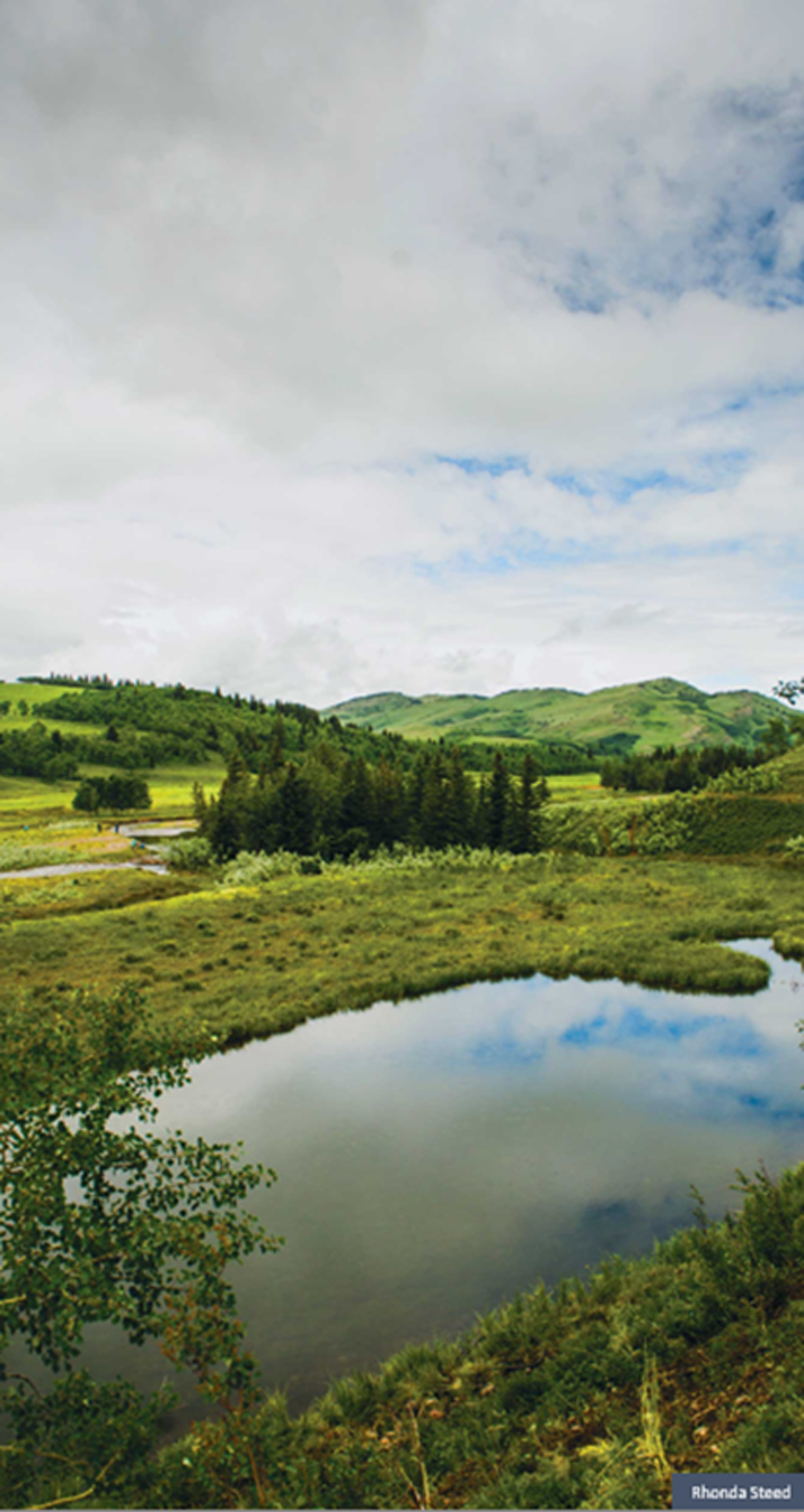 Vallée, arbres, collines et étang