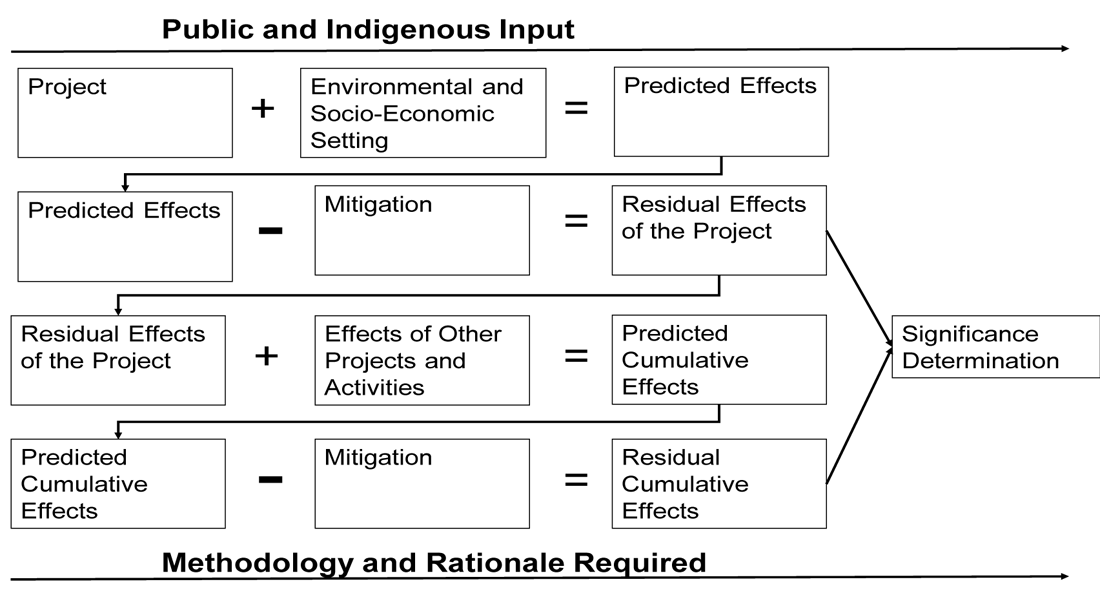 Figure&nbsp;A.2-1: The Applicant’s ESA process