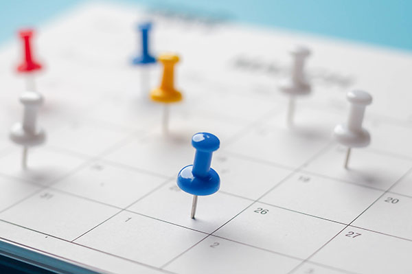 Key milestones