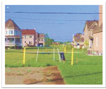 Suburban backyards