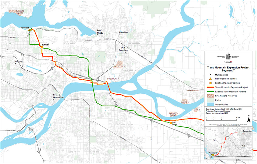 Segment 7