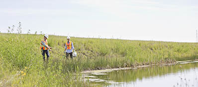 Remediation Process Guide - Draft