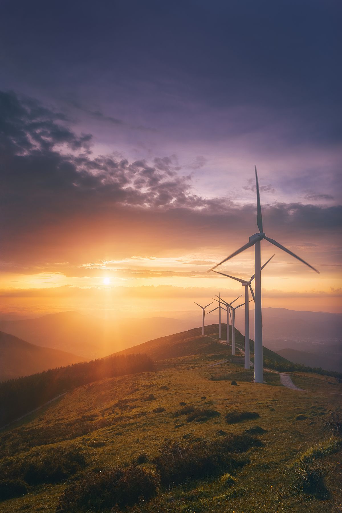 Éoliennes au coucher de soleil.