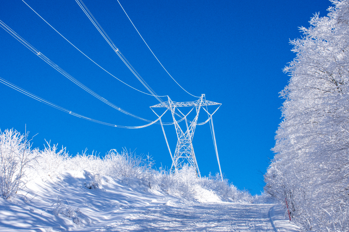 Electricity transmission lines and trees are frosted white in wintertime against a bright blue sky.