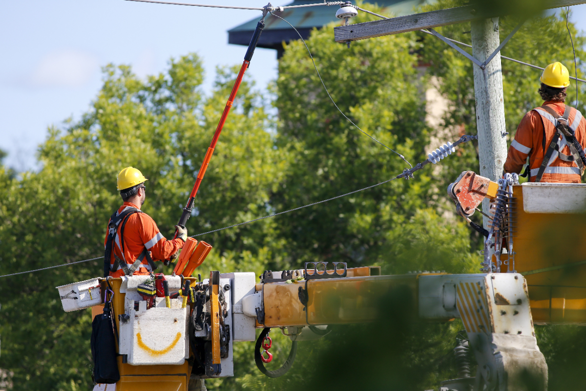 Workers in PPE in lifted buckets service an electric power line with tree canopy around them on a sunny day.