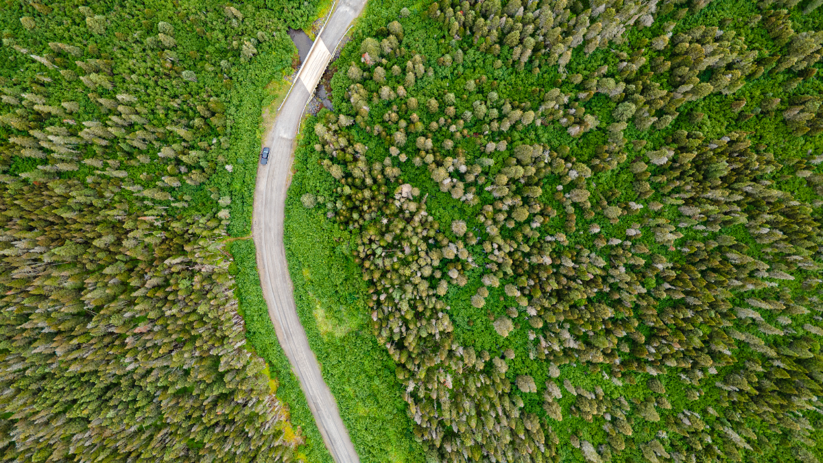 Bird's-eye view of a gravel road crossing the boreal forest.