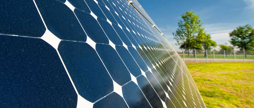 Gros plan de panneaux solaires avec un arbre et un ciel bleu en toile de fond