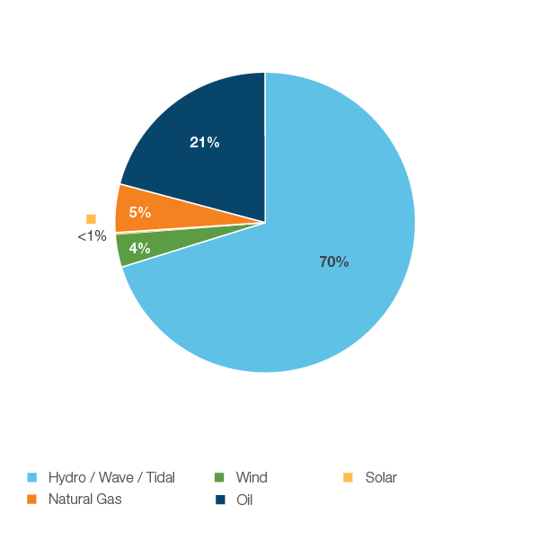 Figure 29: Electricity Generation by Fuel Type, 2018