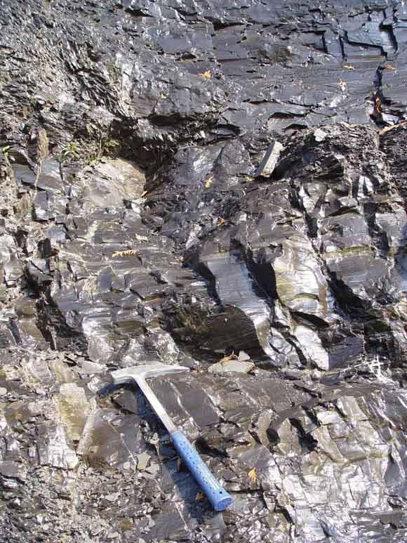 Figure&nbsp;4: Schistes d’Utica fortement fractur&eacute;s pr&egrave;s de la chute Montmorency, au Qu&eacute;bec