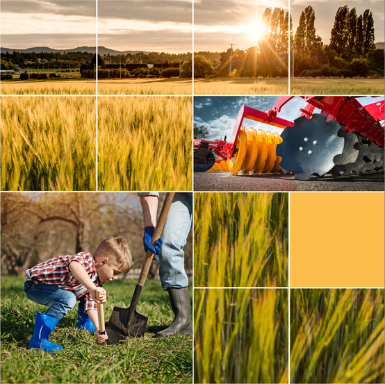 Aperçu de la page couverture d’activités agricoles se déroulant à proximité des pipelines.
