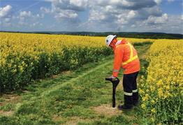 Localisateur de pipeline dans un champ avec un chemin improvisé