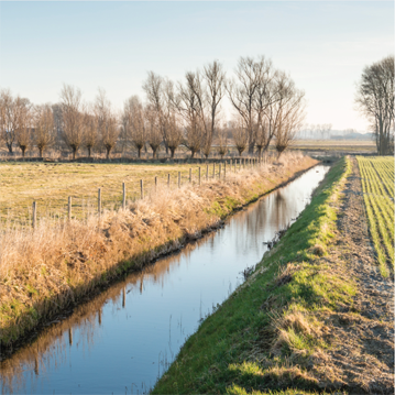 Fossé d’eau en milieu rural