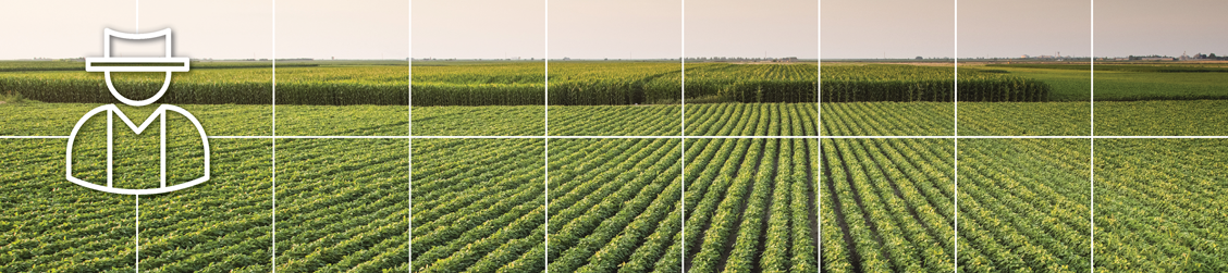 Bannière quadrillée avec pictogramme montrant un champ de soya au soleil couchant
