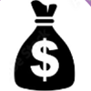 Icon &ndash; Bag with a dollar sign inside it representing financial resources