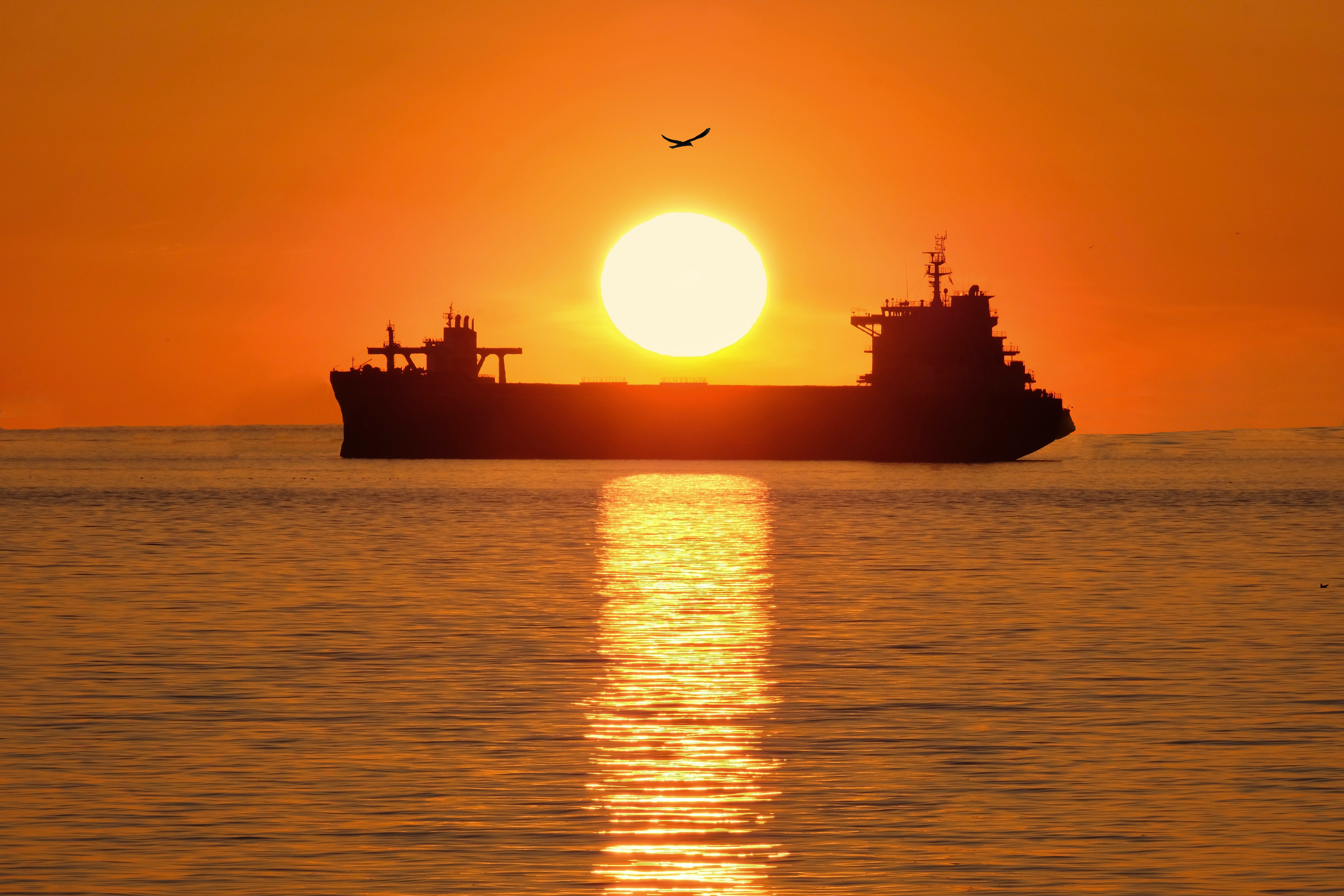 Un oiseau survole un navire de transport au coucher du soleil.
