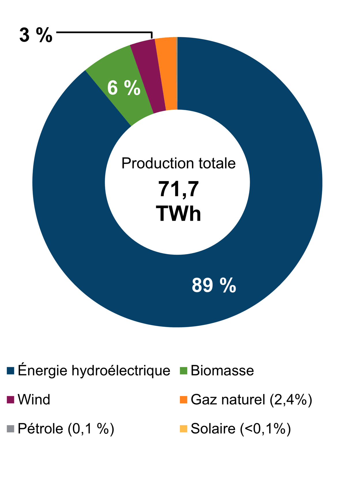 Figure&nbsp;1 – Production d’électricité selon le type de combustible (2021)