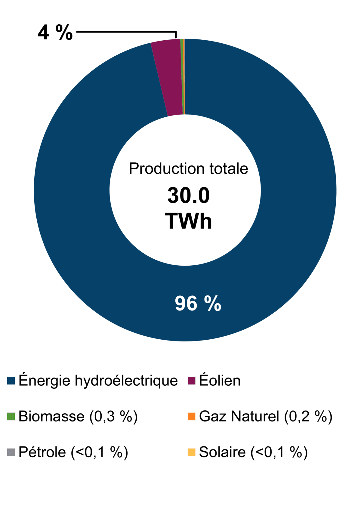 Figure&nbsp;1 – Production d’électricité selon le type de combustible (2021)