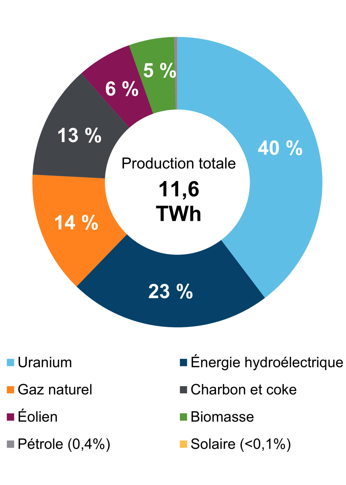 Figure&nbsp;1 – Production d’électricité selon le type de combustible (2021)