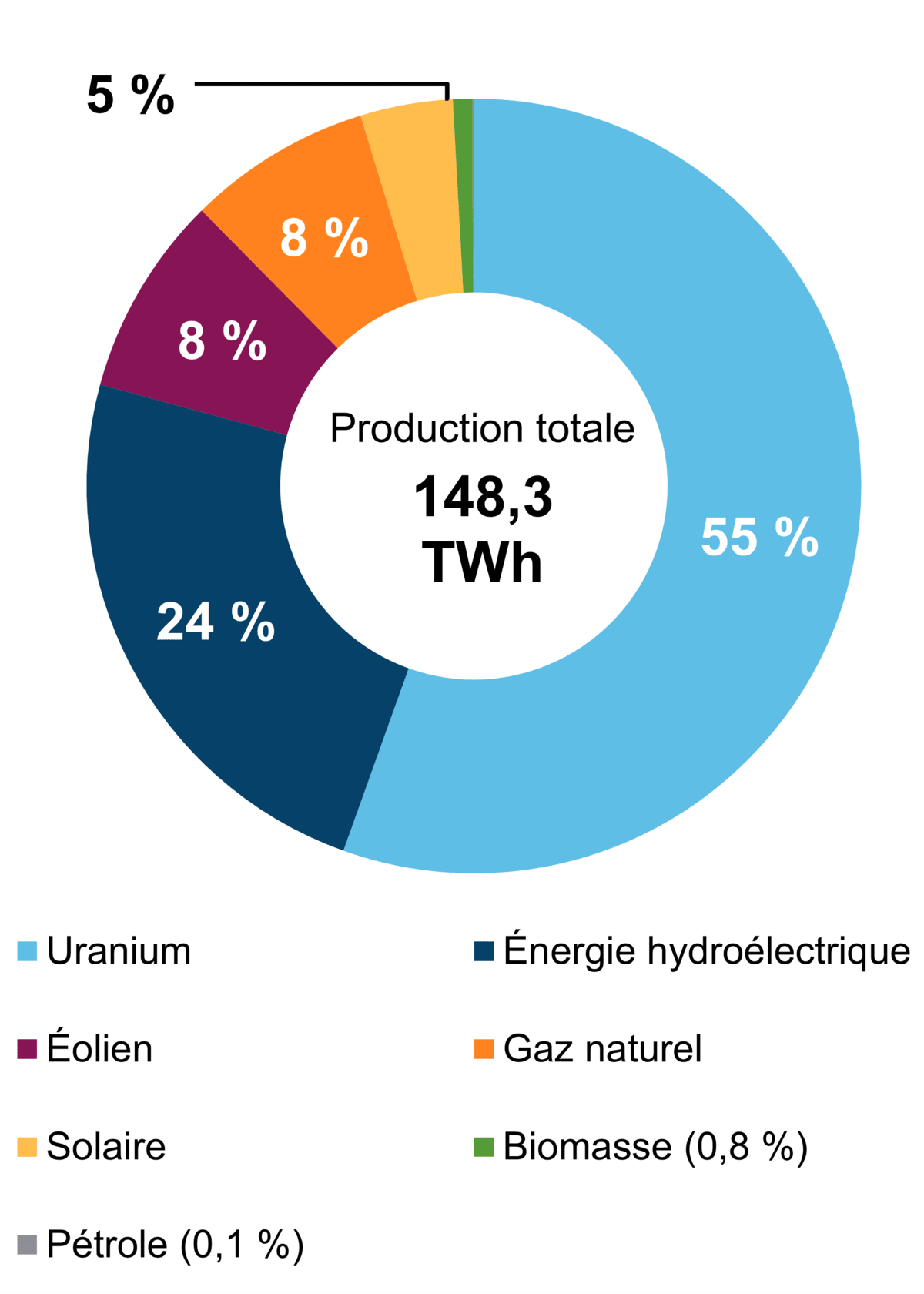 Figure&nbsp;1 – Production d’électricité selon le type de combustible (2021)