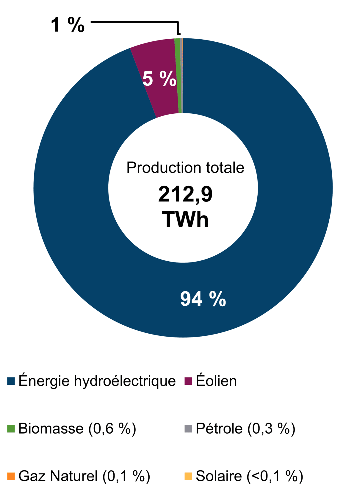 Figure&nbsp;1 – Production d’électricité selon le type de combustible (2021)