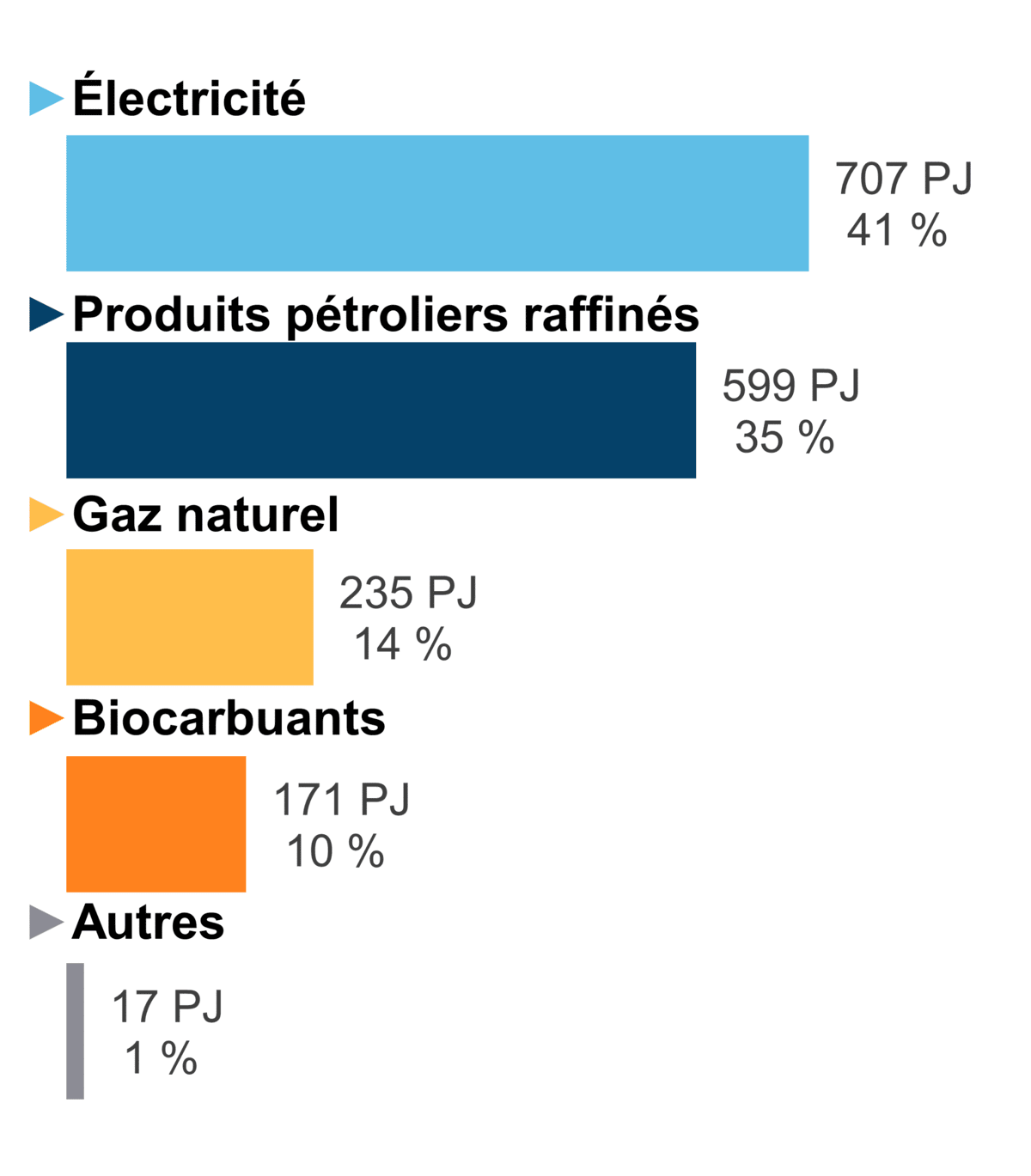 Figure 6 - Demande pour utilisation finale selon le combustible (2020)