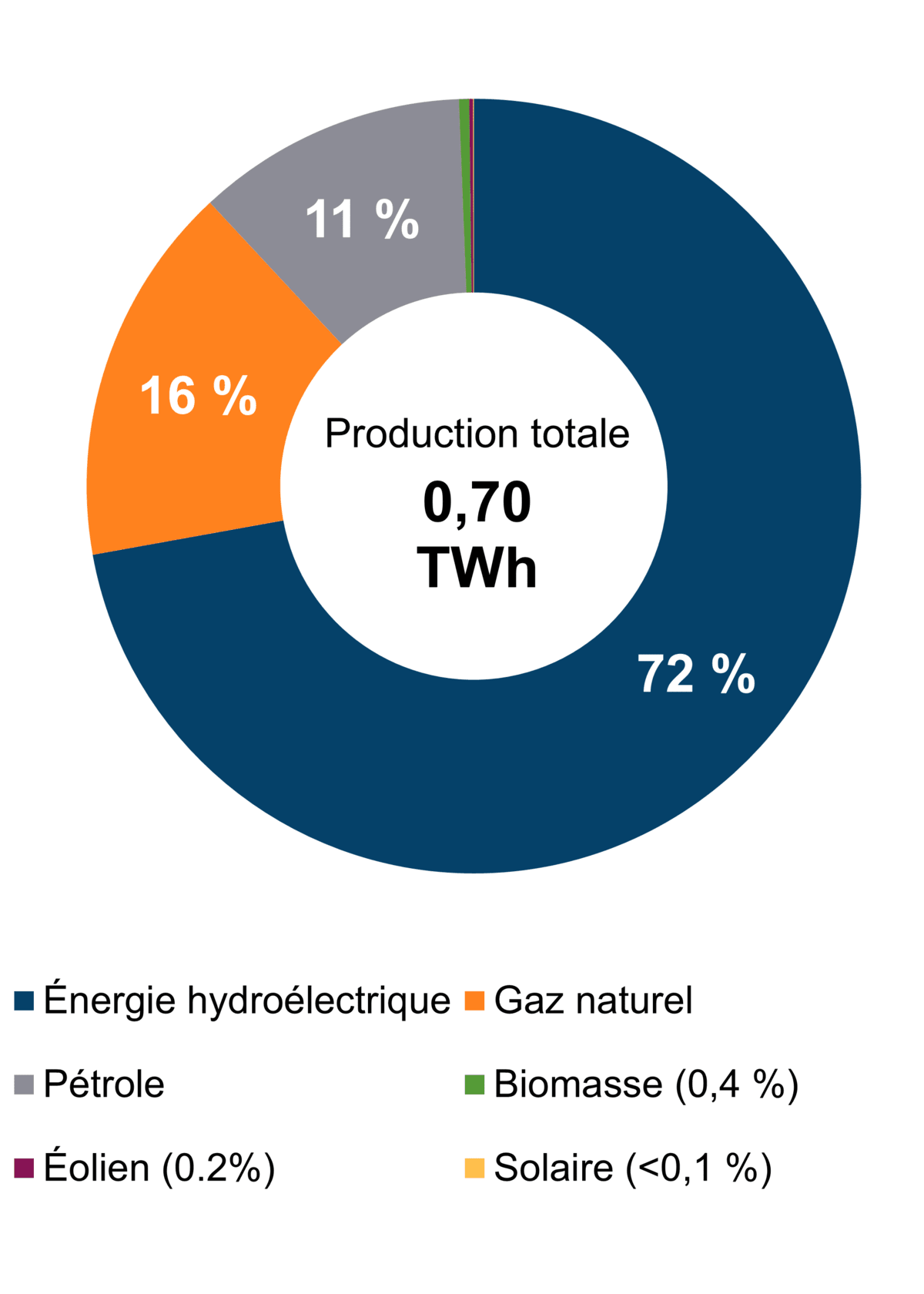Figure&nbsp;1 – Production d’électricité selon le type de combustible (2021)